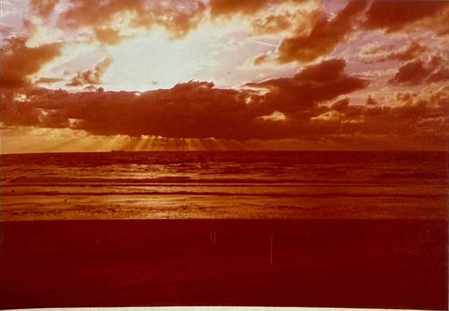 Clubarchief · 119.02, 1981